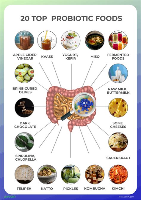 益生菌推薦！讓你的腸道健康大翻身